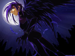 D.N. Angel!